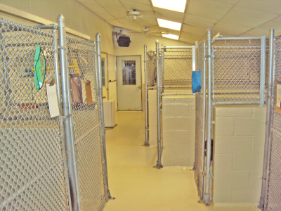 Dog Kennels