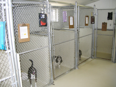 Dog Kennels