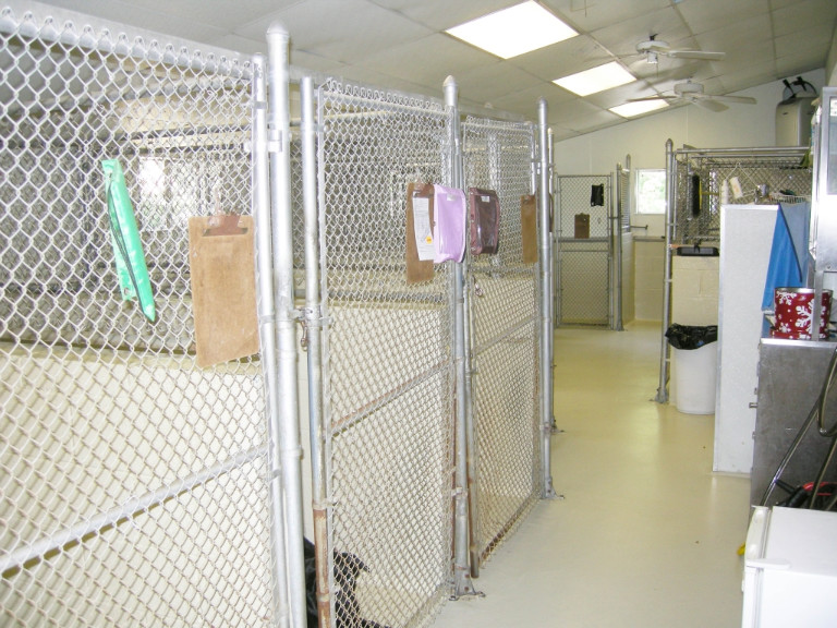 Dog Kennels